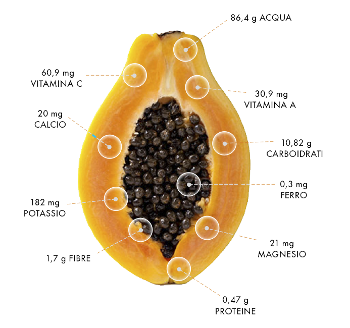 papaya image